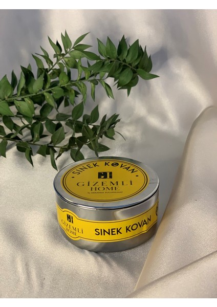 Sinek Kovan Mum Teneke Dolum