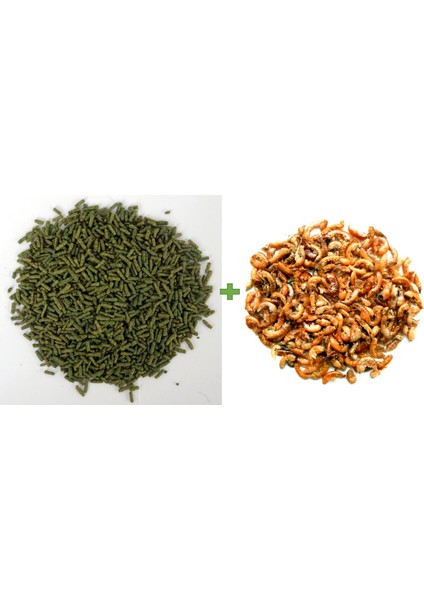 Turtle 100 ml + Gammarus 100 ml Kaplumbağa ve Sürüngen Yemi