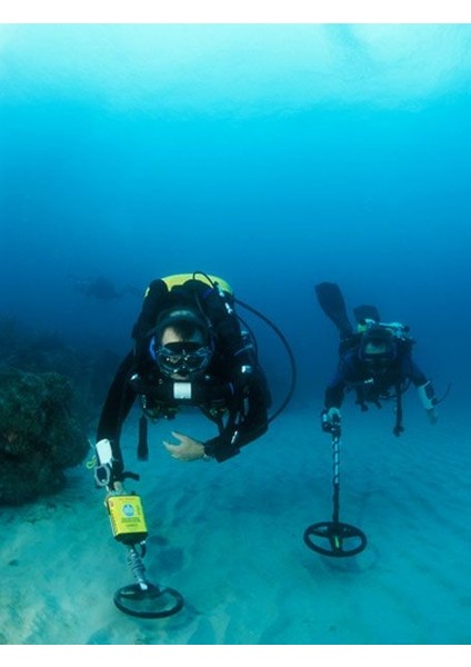 Sea Hunter Mark 2 Define, Altın, Metal Dedektörü (8 Inch fırsatları