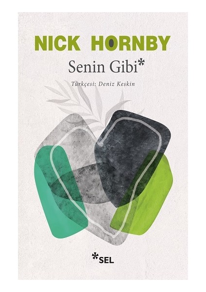 Senin Gibi - Nick Hornby