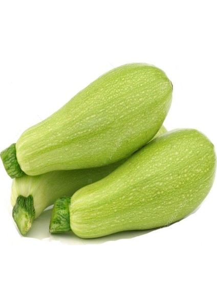 Nadir Dolmalık Kabak Tohumu Ekim Seti 5 Tohum Saksı Toprak Kombin