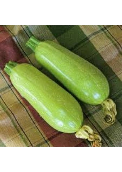 Nadir Dolmalık Kabak Tohumu Ekim Seti 5 Tohum Saksı Toprak Kombin modelleri