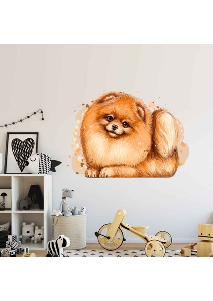 Kt Decoration Turuncu Sevimli Fino Köpeği Duvar Sticker