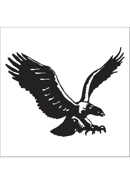 Kartal Folyo Sticker 120 70CM Uzunluk