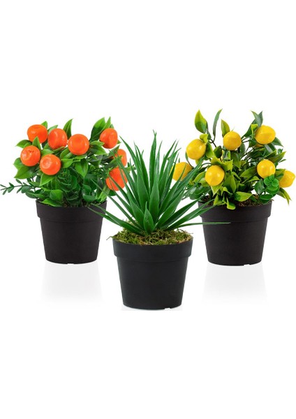 3’lü Set Siyah Mini Plastik Saksıda Yapay Mandalina, Aloe Vera ve Limon Çiçeği