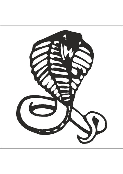 Cobra Folyo Sticker 58 20 cm Uzunluk