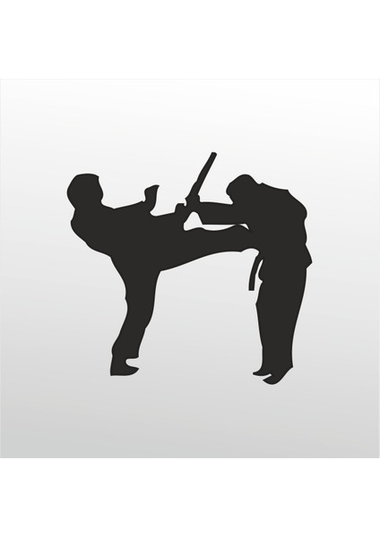 Folyo Sticker Taekwondo 101 70 cm Uzunluk