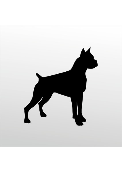 Folyo Sticker Pitbull 160 cm Uzunluk