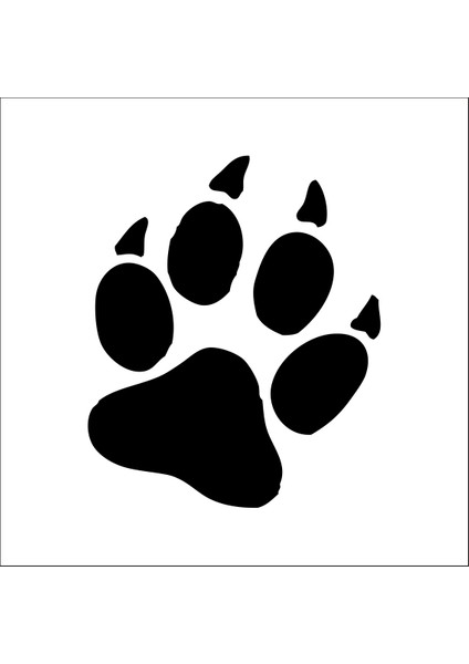 Pati İzi Folyo Sticker 11 160 cm Uzunluk