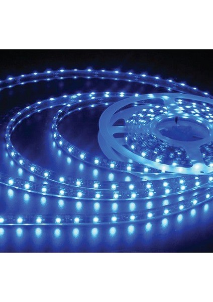 5205-007 3ç Dış Mekan Mavi LED Şerit(5 Mt) Ack