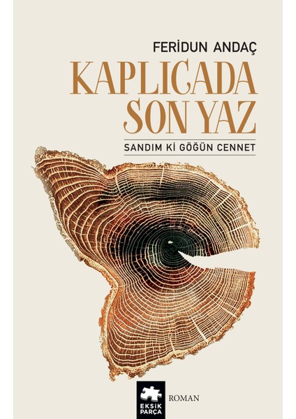 Kaplıcada Son Yaz - Feridun Andaç