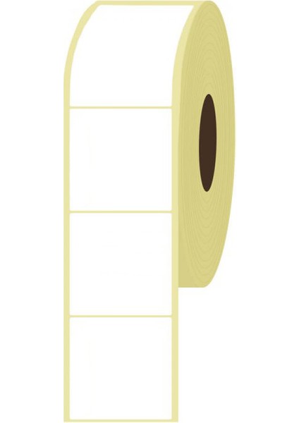 100 mm x 100 mm Termal Etiket