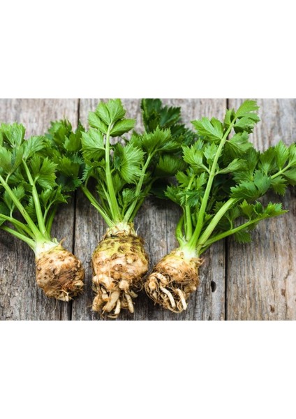 Kereviz Tohumu Kök Kereviz – 500g