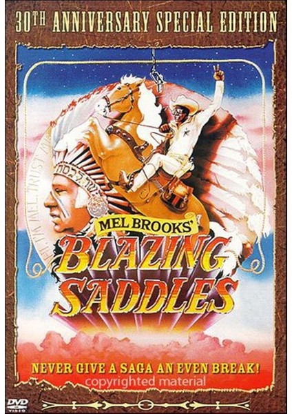 Gümüş Eyerler (Blazing Saddles) (Dvd)