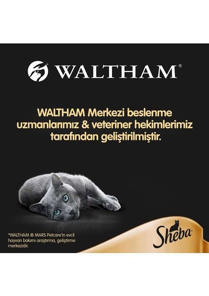 Sheba® Sığır Etli Yaş Kedi Maması 85 gr (12 Adet)