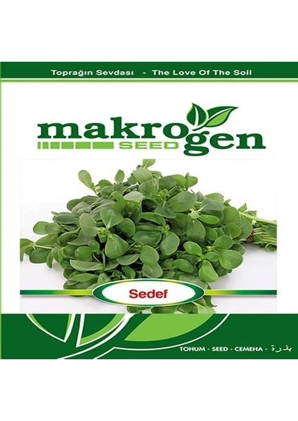 Makrogen Seed Semizotu Tohumu 10 gr