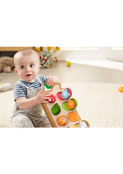 Fisher Price Sürprizli Arkadaşlar Aktivite Oyuncağı GJW24