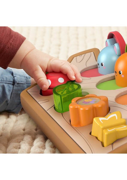 Fisher Price Sürprizli Arkadaşlar Aktivite Oyuncağı GJW24