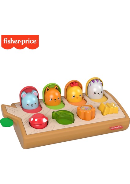 Fisher Price Sürprizli Arkadaşlar Aktivite Oyuncağı GJW24