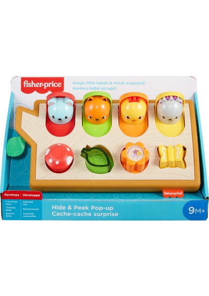 Fisher Price Sürprizli Arkadaşlar Aktivite Oyuncağı GJW24