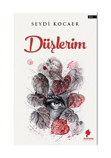 Düşlerim - Seydi Kocaer