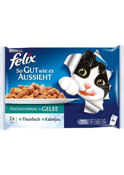 Purina Felix Morina ve Ton Balıklı Pouch Yetişkin Kedi Yaş Maması 4 x 100 gr 10 Paket(40 Adet)