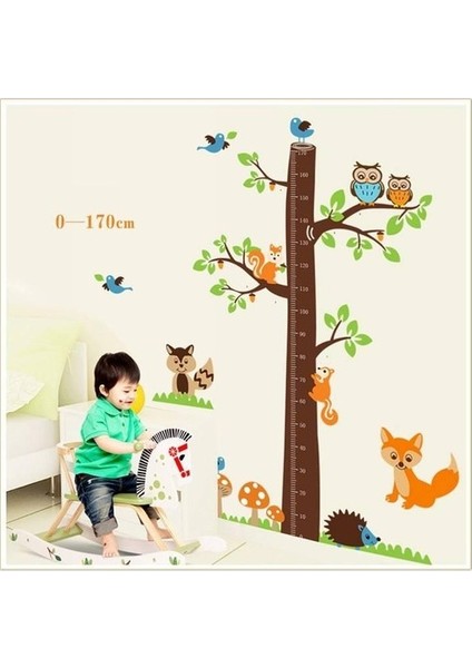 Kt Decoration Çocuk Odası Dekoru Boy ve Gelişim Ölçer Büyük Boy Ağaç Sincap ve Baykuşlar Pvc Duvar Sticker