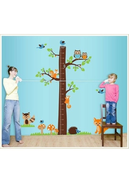 Kt Decoration Çocuk Odası Dekoru Boy ve Gelişim Ölçer Büyük Boy Ağaç Sincap ve Baykuşlar Pvc Duvar Sticker modelleri