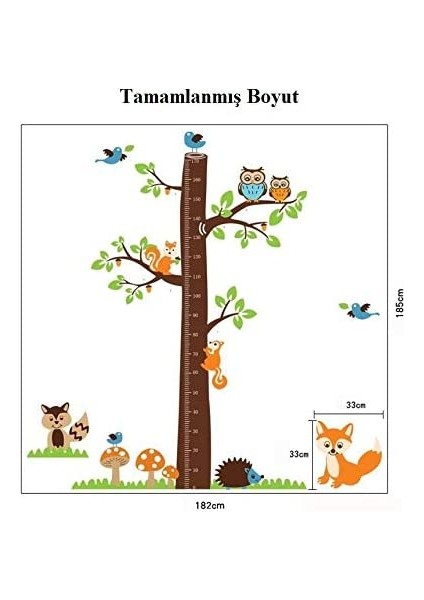 Kt Decoration Çocuk Odası Dekoru Boy ve Gelişim Ölçer Büyük Boy Ağaç Sincap ve Baykuşlar Pvc Duvar Sticker fırsatları