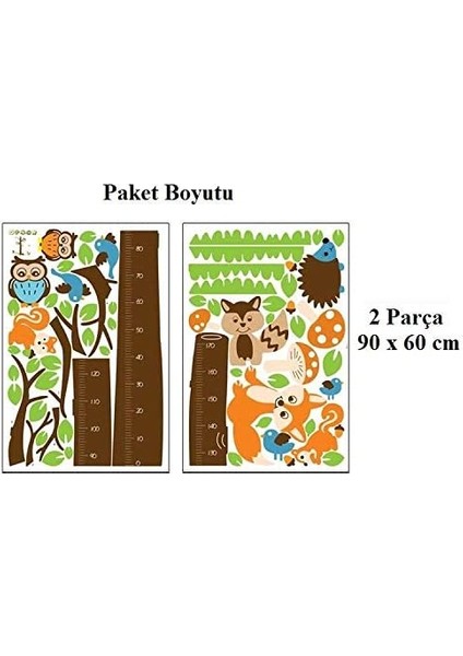 Kt Decoration Çocuk Odası Dekoru Boy ve Gelişim Ölçer Büyük Boy Ağaç Sincap ve Baykuşlar Pvc Duvar Sticker indirimleri