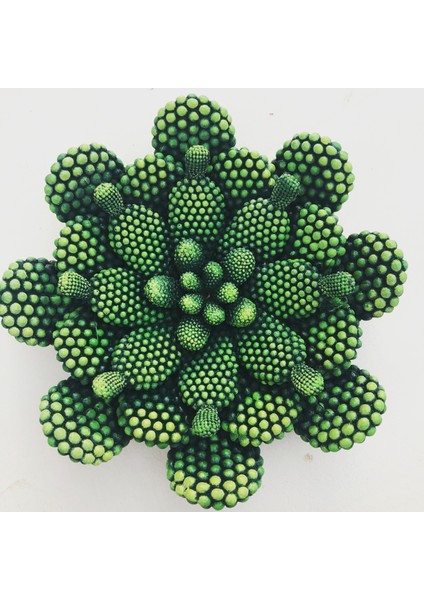 Veranin Firçasi Dekoratif Kaktüs Tabak modelleri