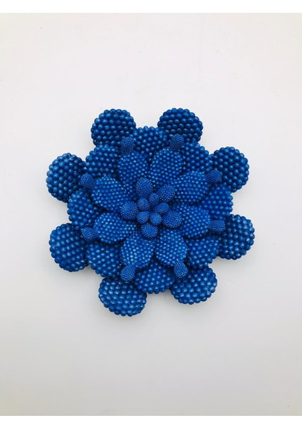 Veranin Firçasi Dekoratif Kaktüs Tabak