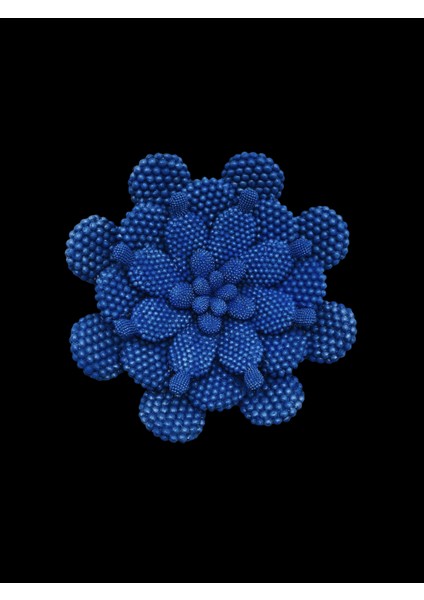 Veranin Firçasi Dekoratif Kaktüs Tabak fiyatları