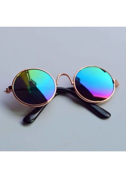 Kedi ve Küçük Irk Köpek Güneş Gözlüğü