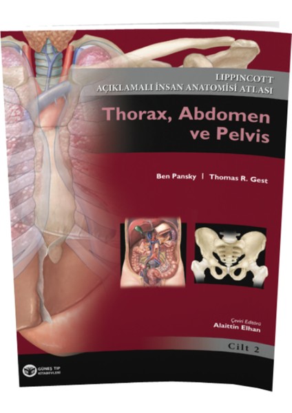 Açıklamalı İnsan Anatomisi Atlası-2
