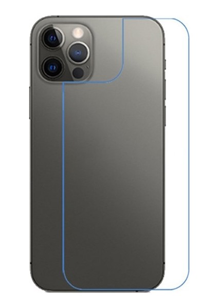 Apple İphone 12/12 Pro 6.1 İnch Tempered Arka Cam Koruyucu Al33610 Şeffaf