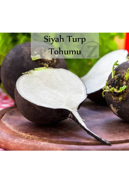 Zencefil Organik Siyah Turp Tohumu 1 Paket (10GR=1000+ Adet) Turp Tohumu Siyah