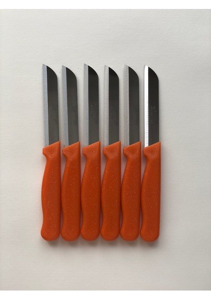 Sollingen Meyve Sebze Bıçağı Simli Turuncu