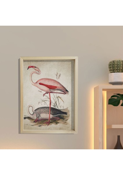 Doğal Çam Çerçeveli Duvar Tablosu Antik Flamingo