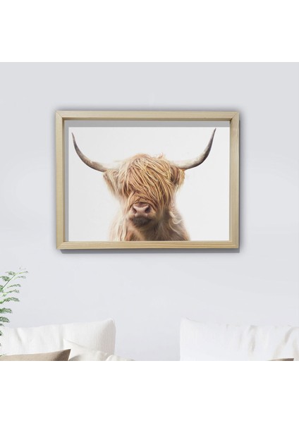 Doğal Çam Çerçeveli Duvar Tablosu Shaggy Cow