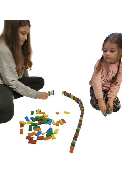 Ahşap 100 Parça Domino Seti
