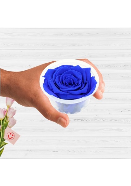 Şoklanmış Solmayan Gül, 5 cm - Lacivert