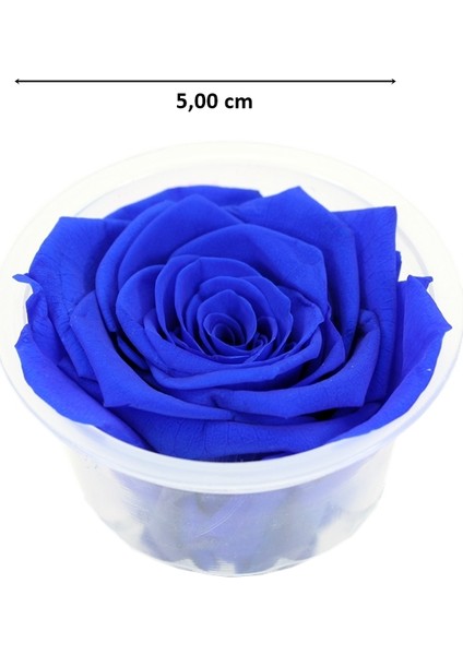Şoklanmış Solmayan Gül, 5 cm - Lacivert