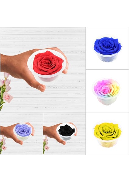 Şoklanmış Solmayan Gül, 5 cm - Lacivert