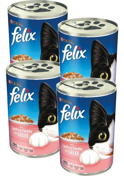 Konserve Somonlu Alabalıklı 400 gr 4'lü