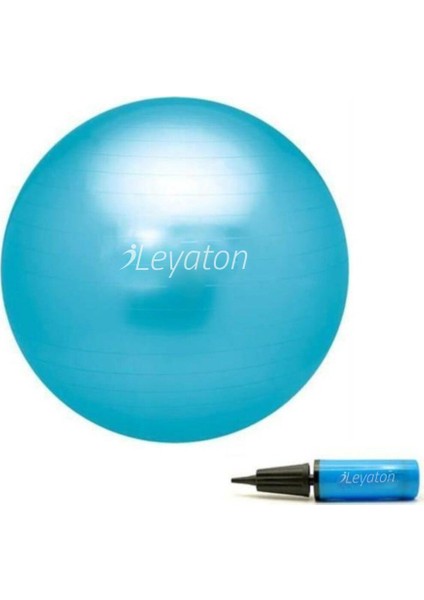 Pilates Topu - Pompa 65 cm