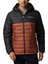 Powder Lite Hooded Erkek Mont 1