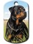 Rottweiler Resimli Köpek Künyesi 1