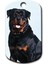 Rottweiler Resimli Köpek Künyesi 1