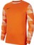 M Nk Df Park Iv Jsy Gk CJ6066-819 Kaleci Forma 1